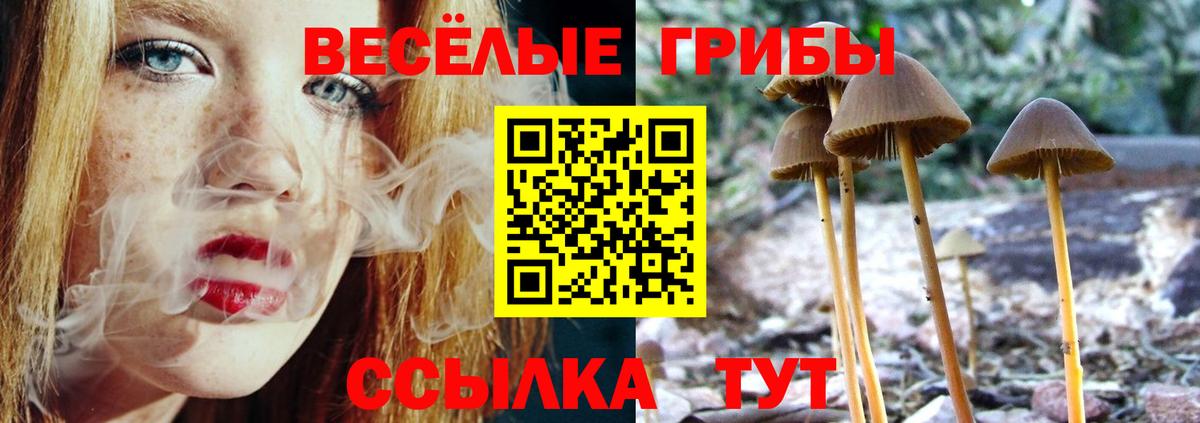 наркотики  Вход с VPN  Галлюциногенные грибы Magic Shrooms  Каменск-Шахтинский  Псилоцибиновые грибы GOLDEN TEACHER 