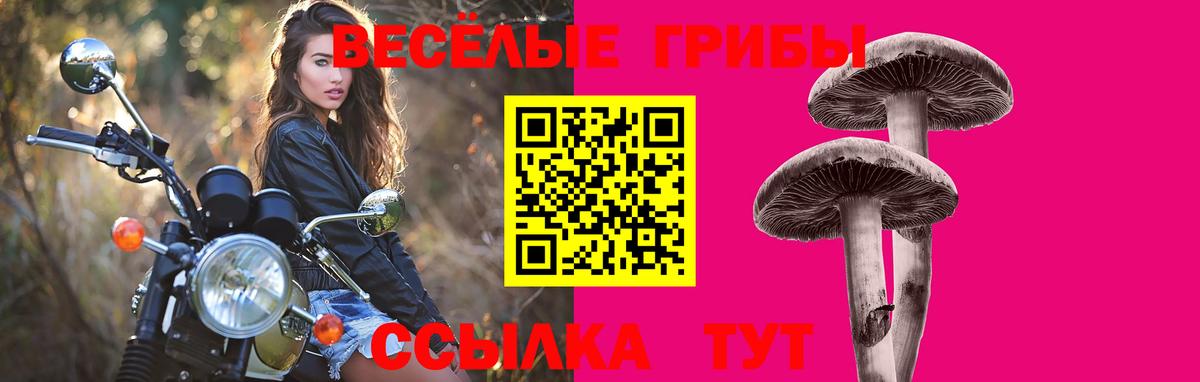 Галлюциногенные грибы мухоморы Каменск-Шахтинский